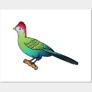 Red-crested turaco bird cartoon illustration Posters and Art